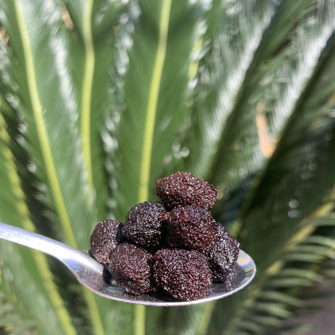 杨千泽食品加工厂