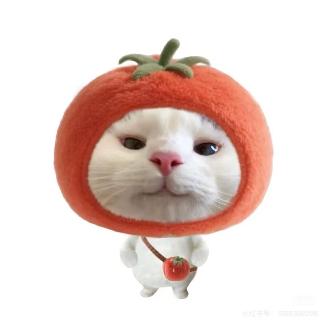 任天天