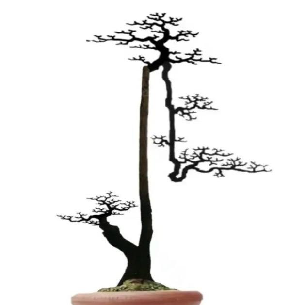 屹～松