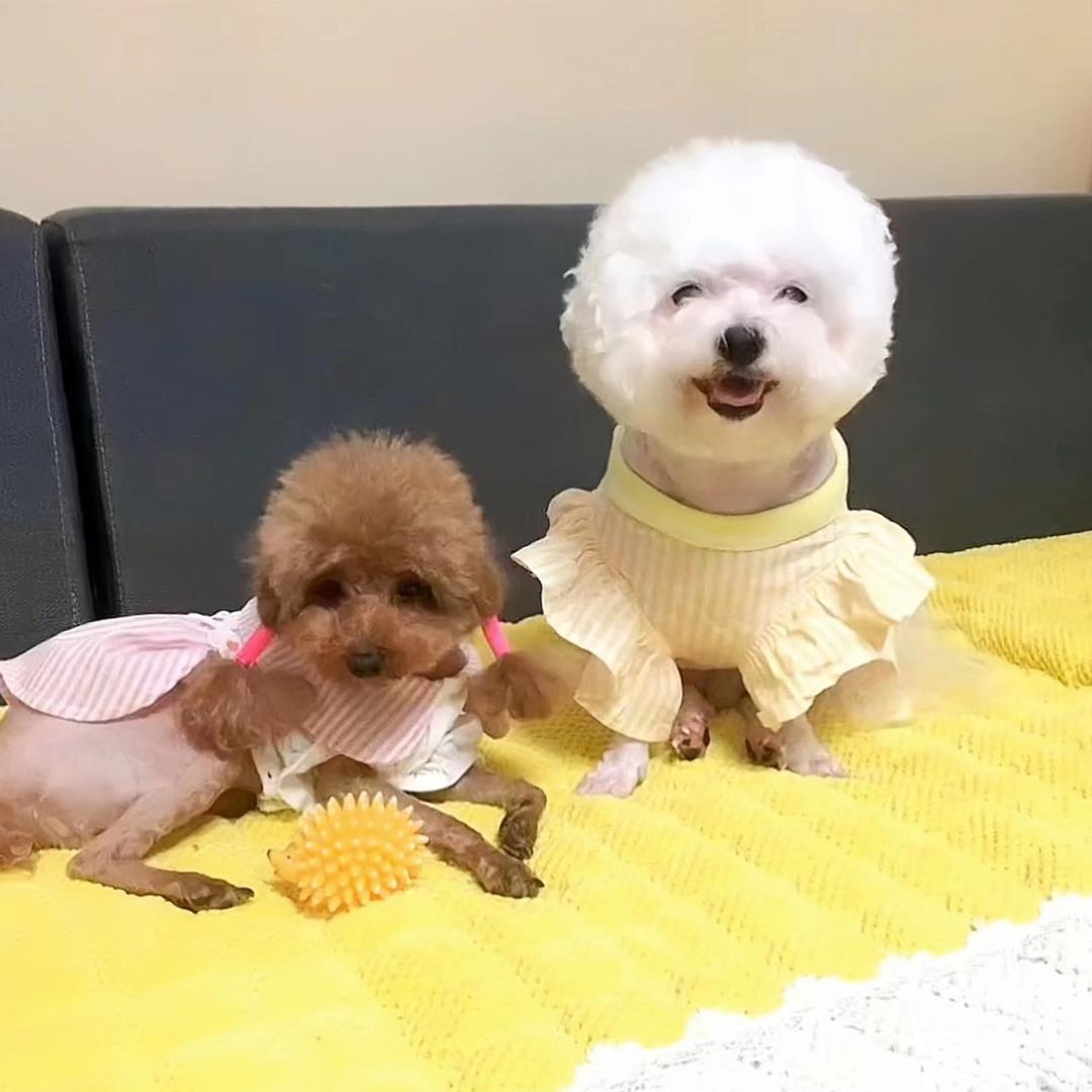 大馋丫头和懒小子