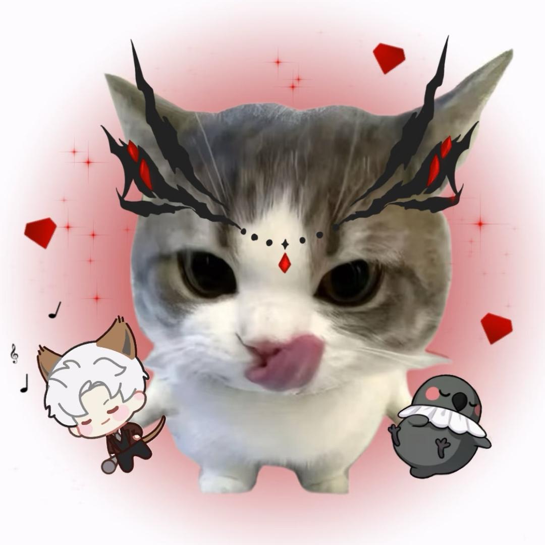 暗点小猫老大