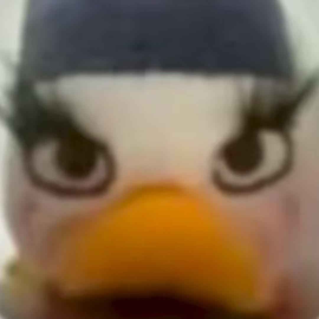 远方你啊杭城无穷小宝