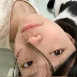 1mo玉米.