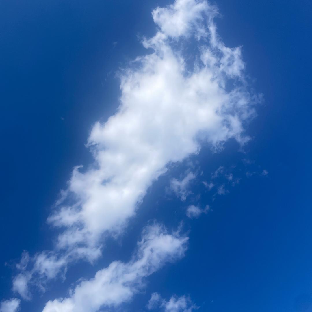 哈