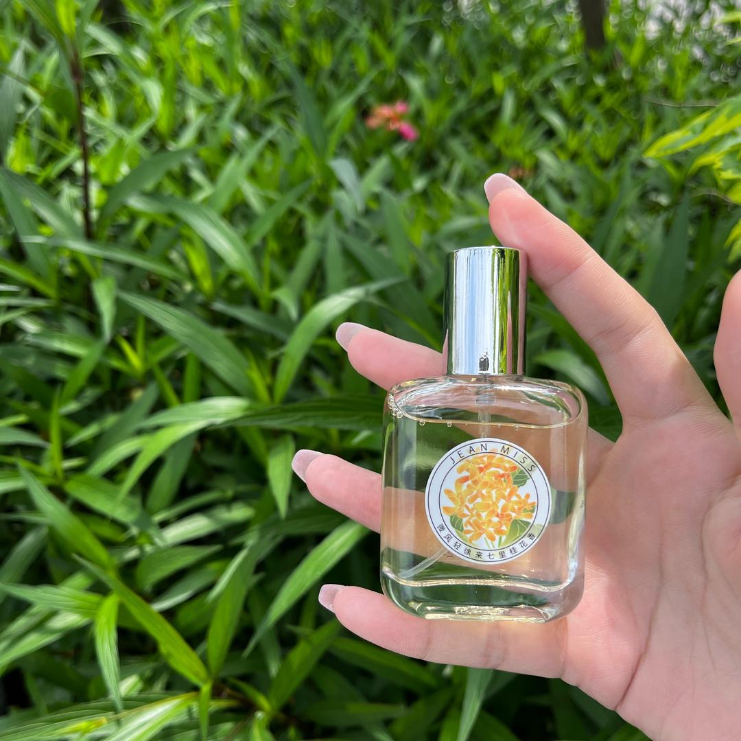 鱼憨憨