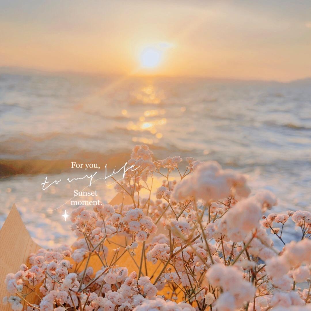 橙子的花园