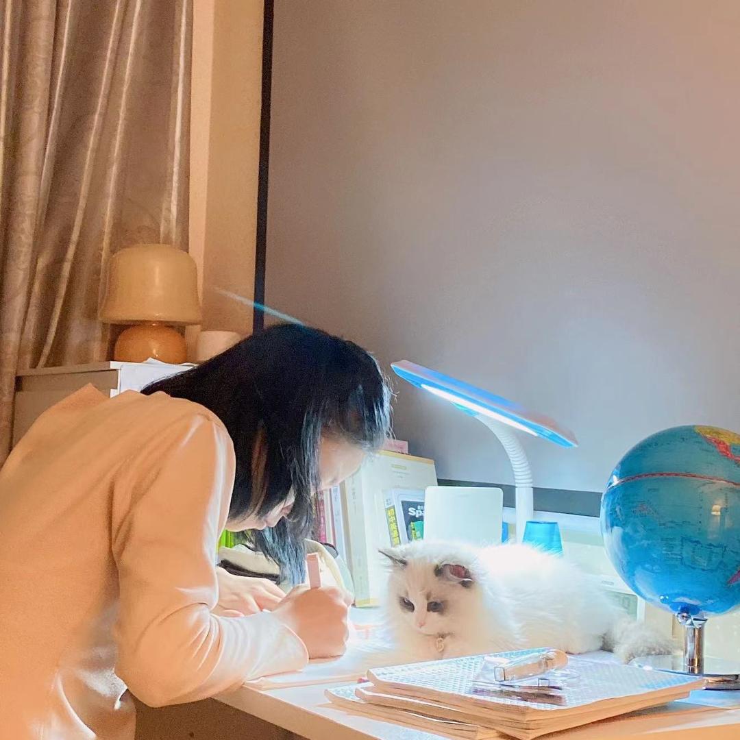 若只如初见