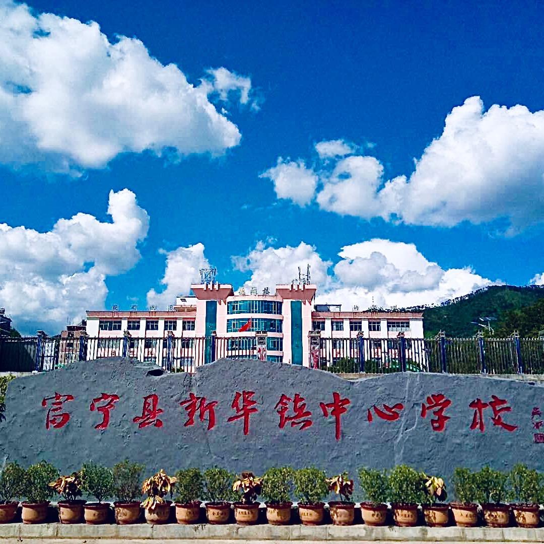 富宁县新华镇中心学校1