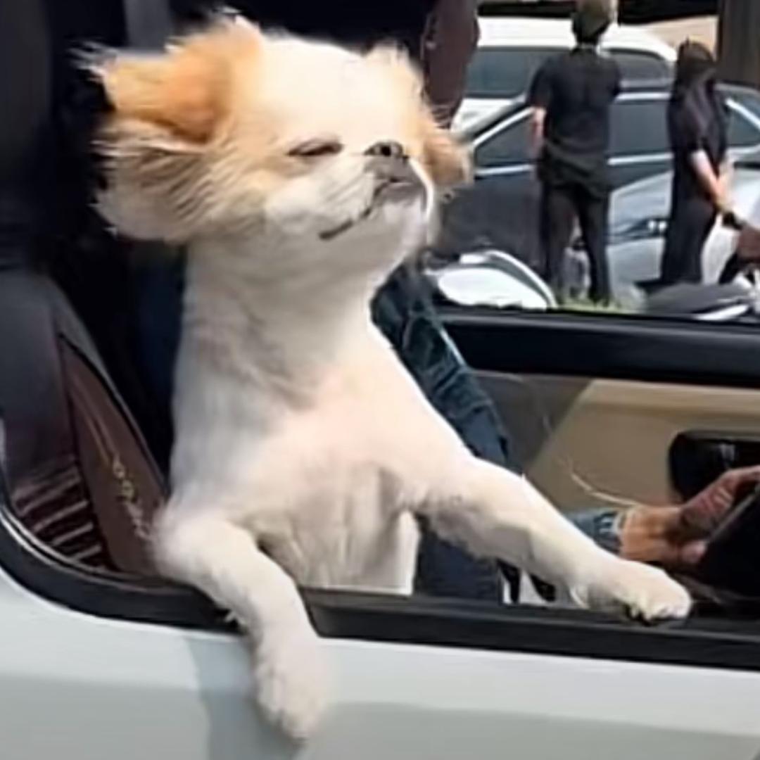 小记