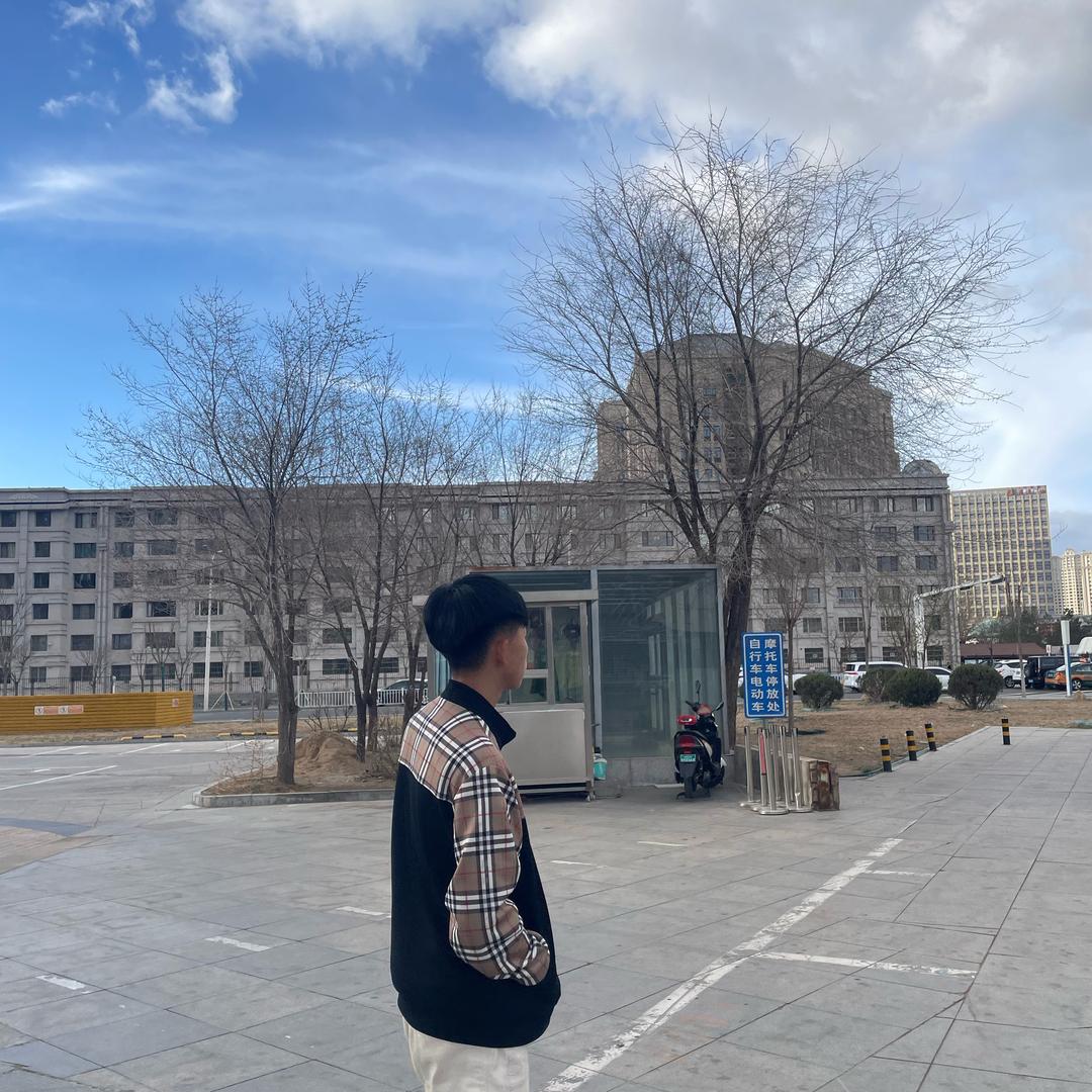 强子.