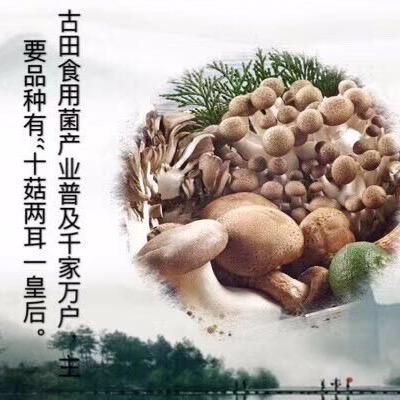 屏南县心蝶家农副产品经营部