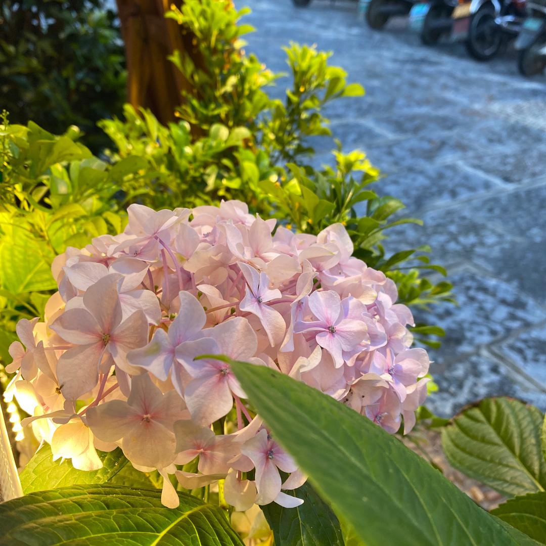 阳朔县山色亚洲餐厅