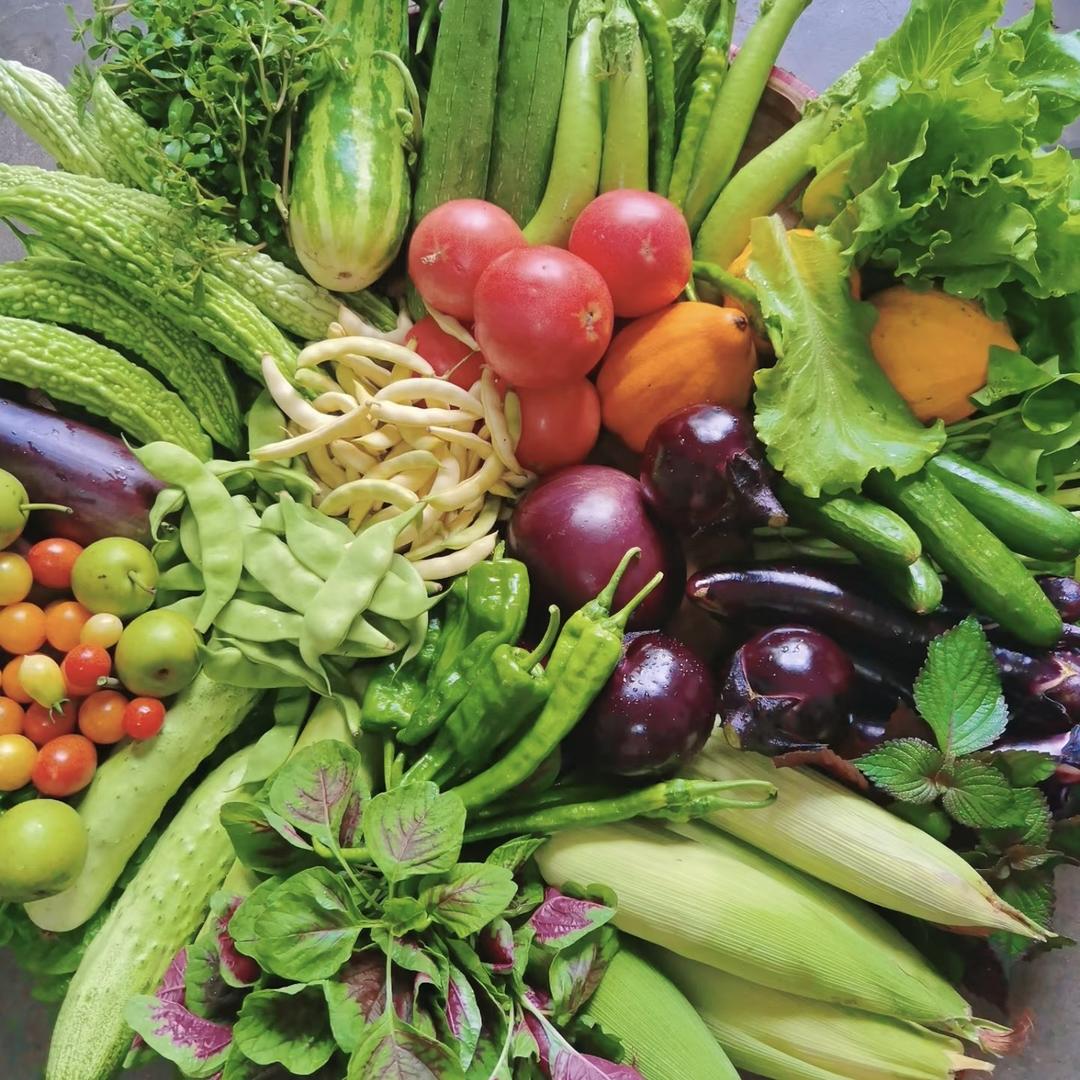 庞各庄小刘生鲜