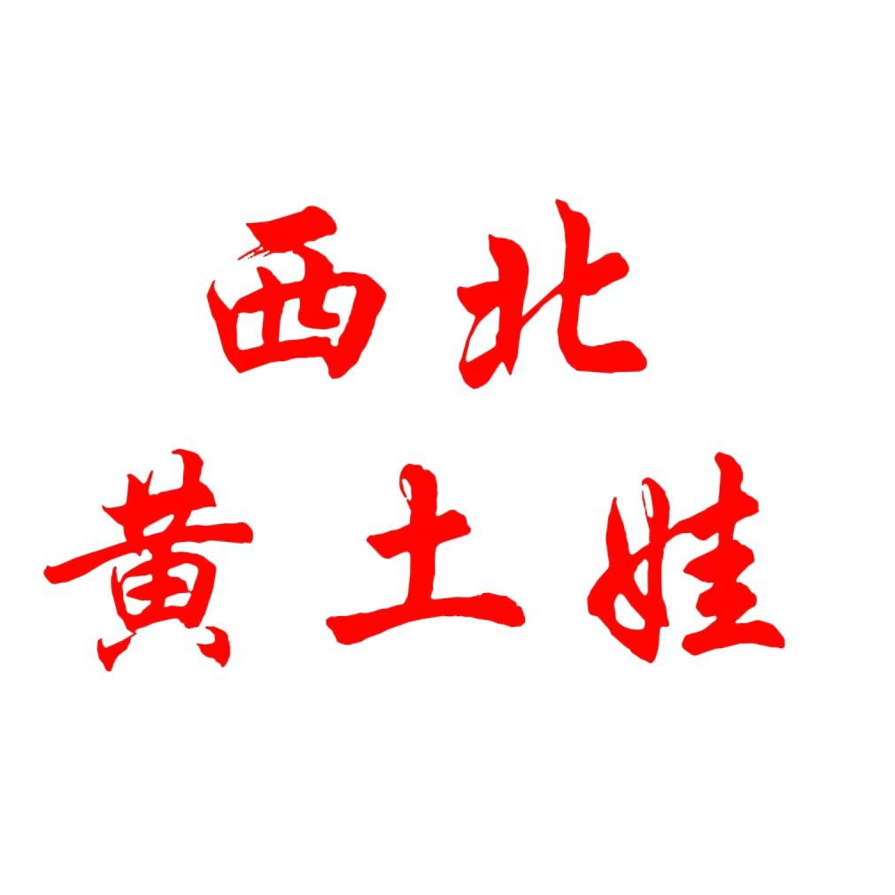 西北黄土娃