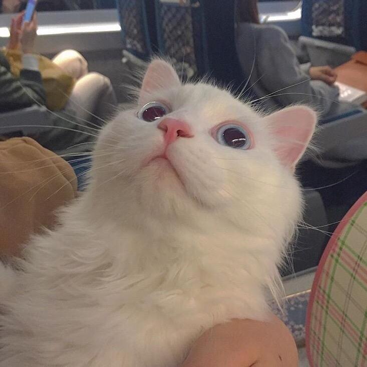 十任