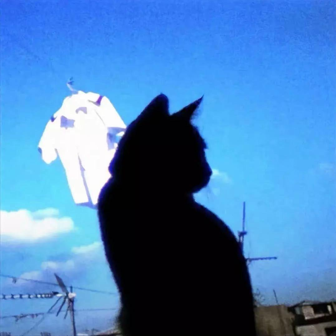 提子