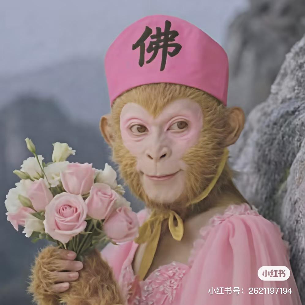 ✨保镖保表哥  表妹抱表哥✨