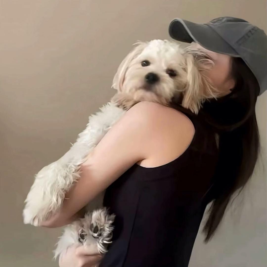 ㅤㅤㅤㅤ 小甜不甜.