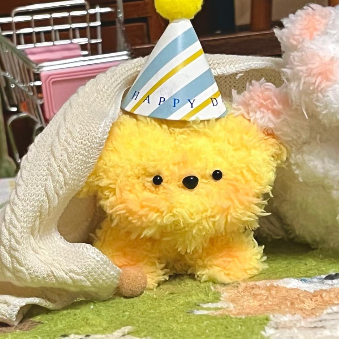 蔡蔡