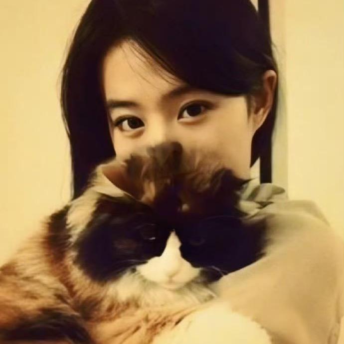 小菜叶子