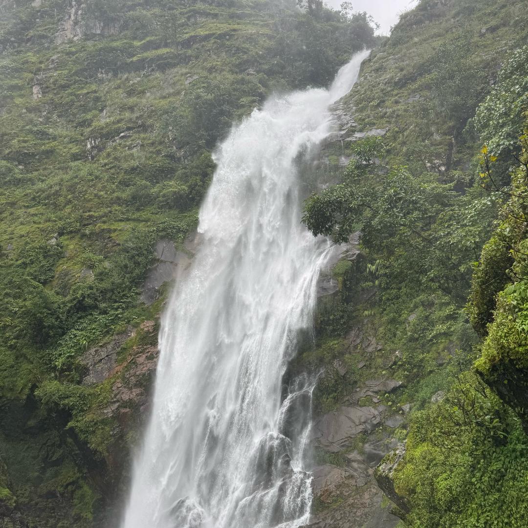 生活号