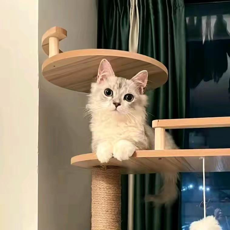 南风～（请加油）