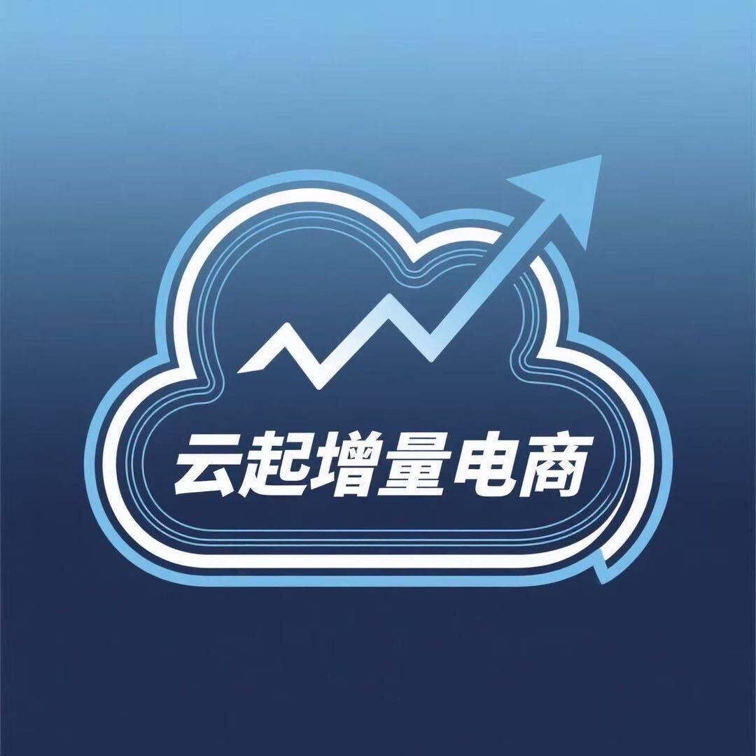 云起电商