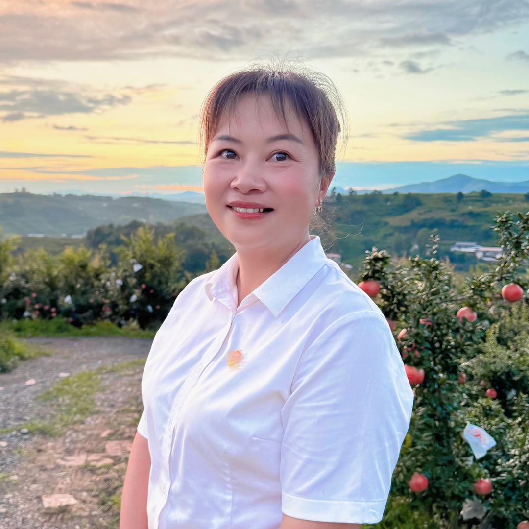 燕子书记—严燕虹