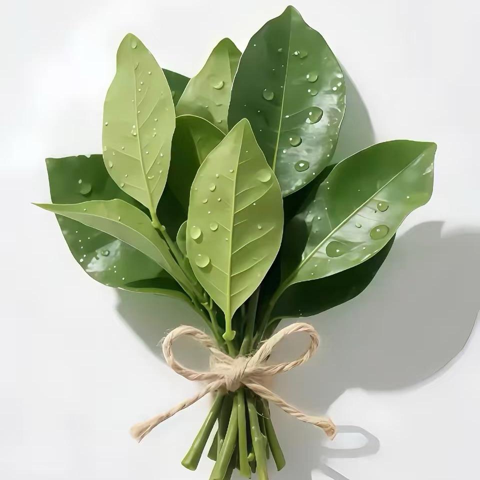 陈小K