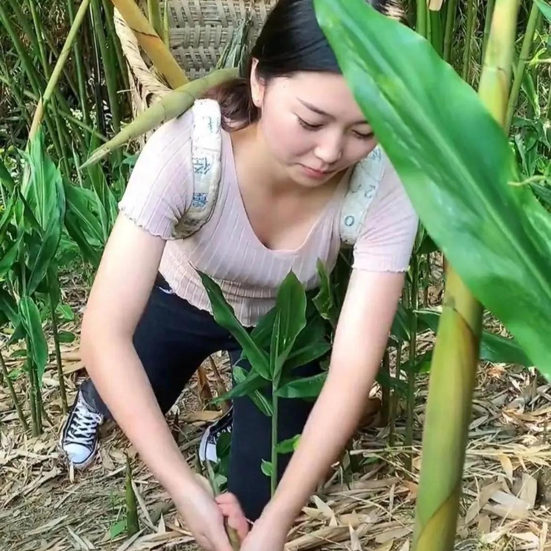种菜的小潼