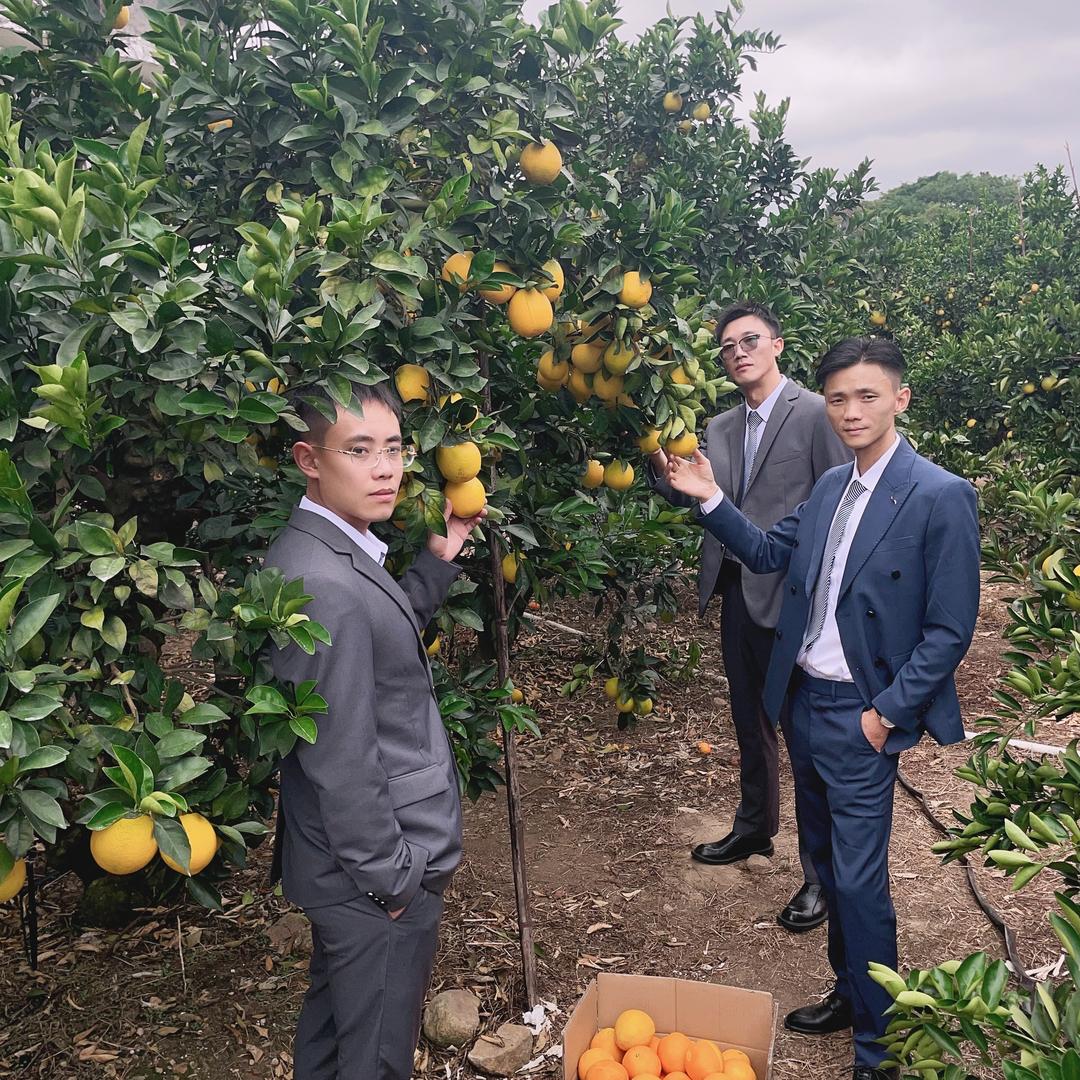 赣南老板果业