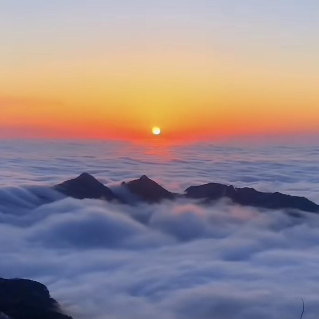 致远休闲鞋