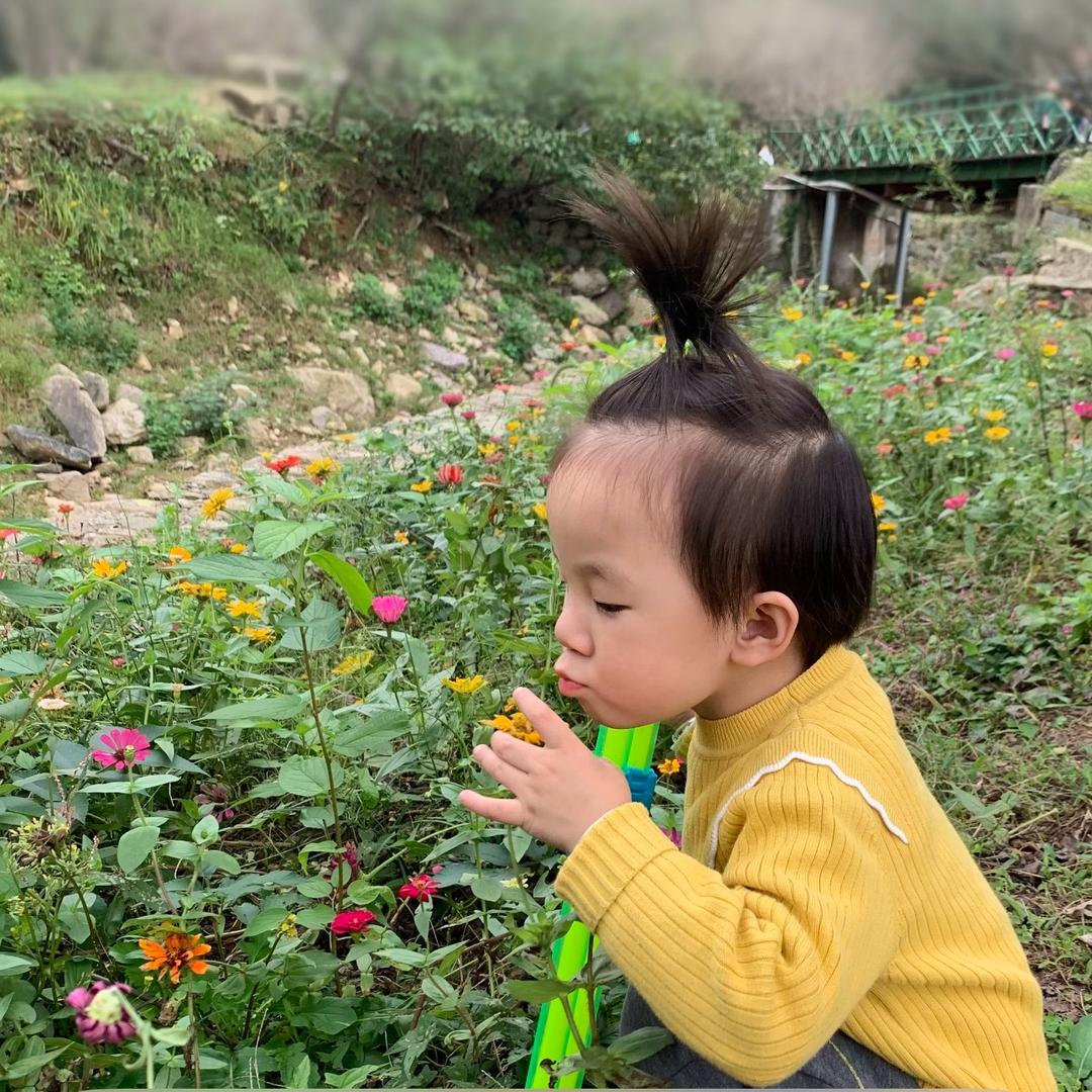 云朗and云想