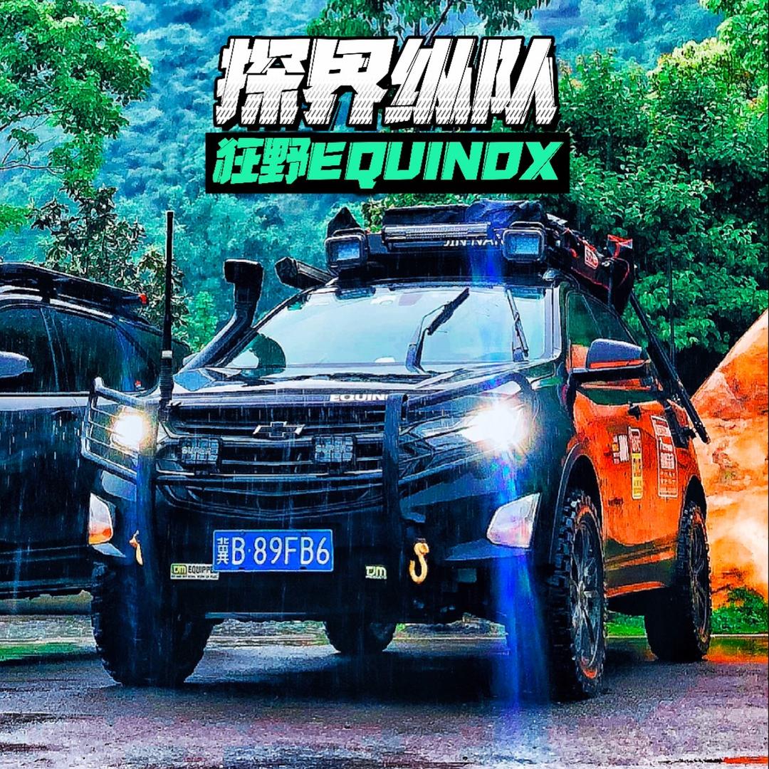 探界伦仔