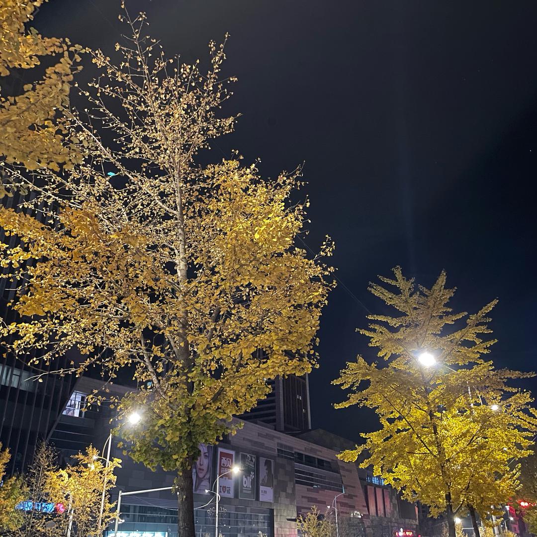 纯正蜜蜜智联商务