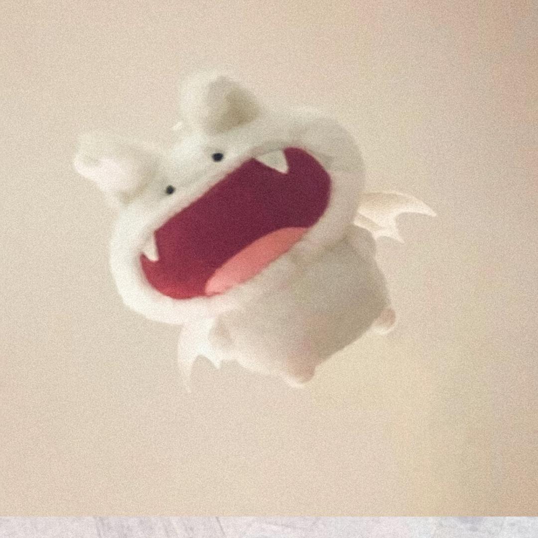 不是木衲的树