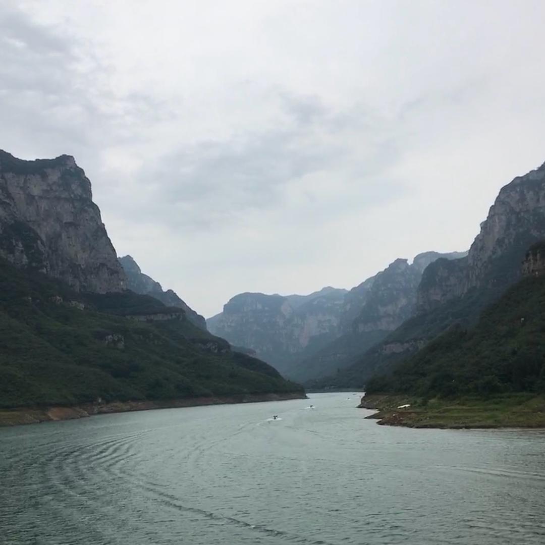 羊羊羊