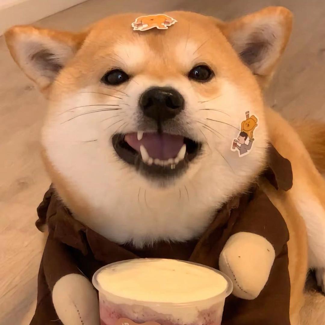 南糕吖