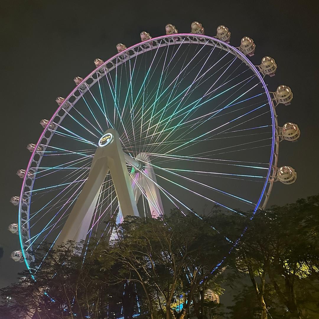 更新瓷料优秀晋