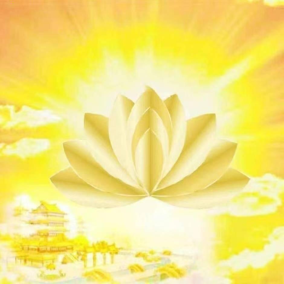 用户苏华电脑
