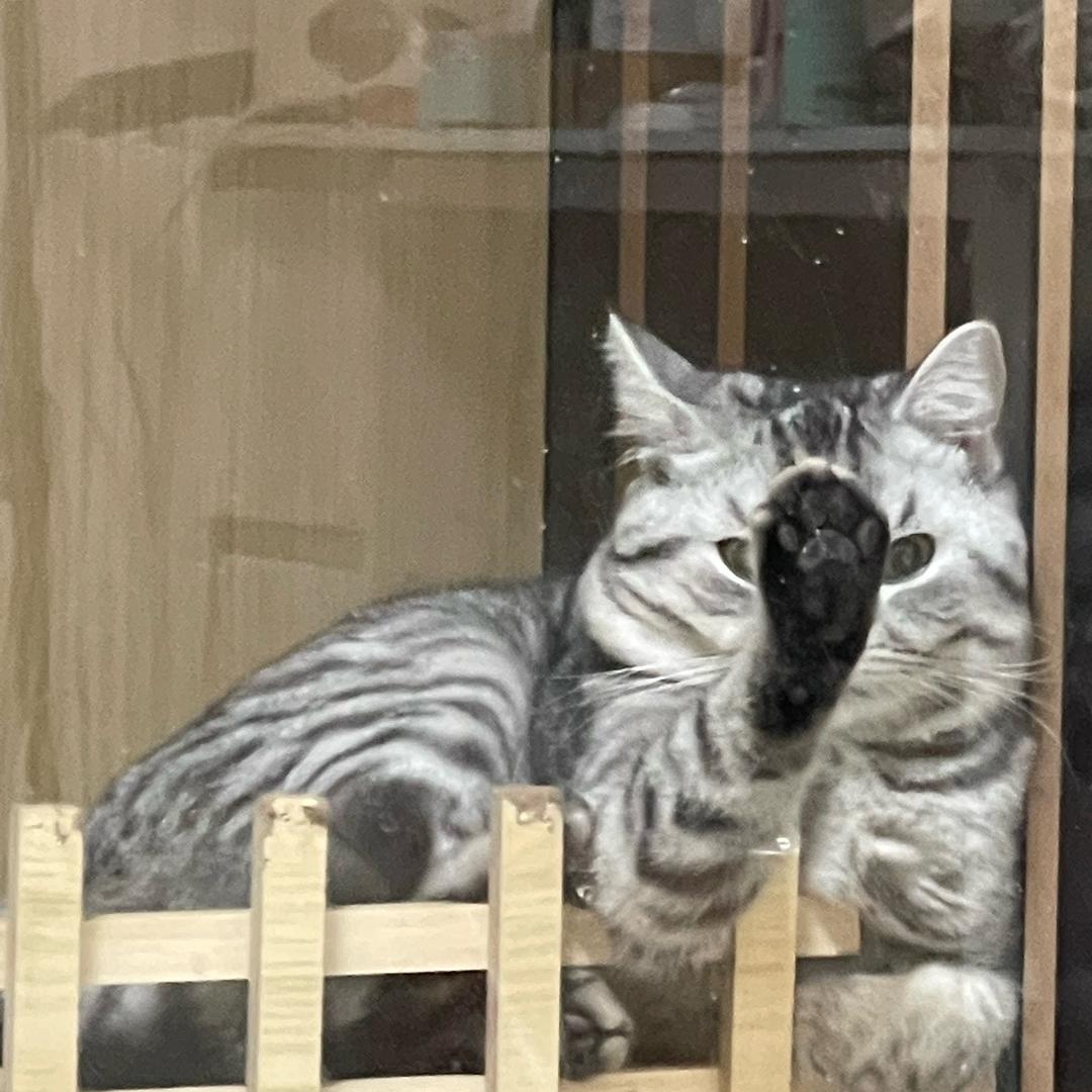 木火火