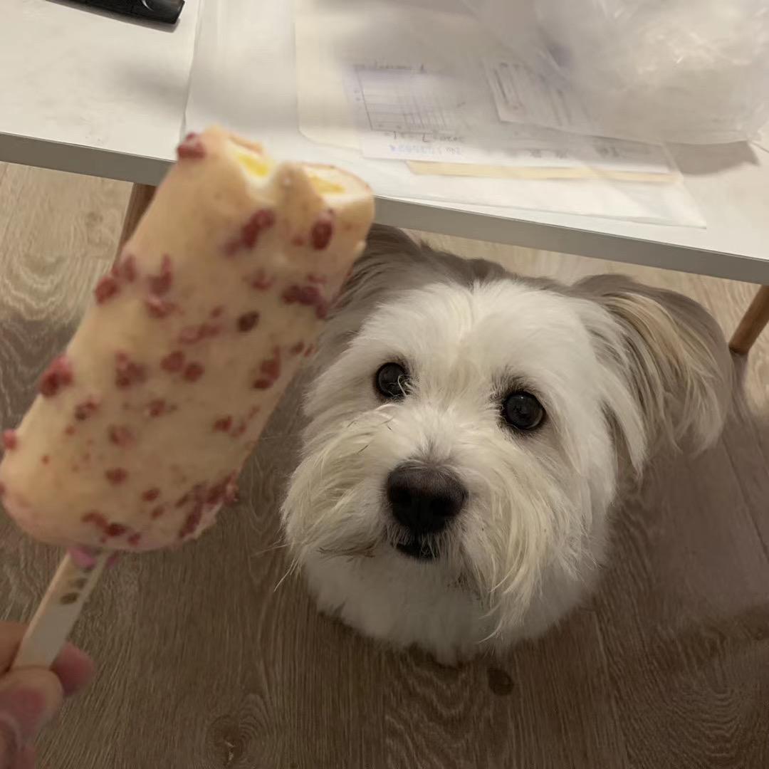 小玲睡不醒