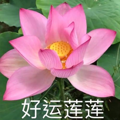 阿粥粥啊🍧