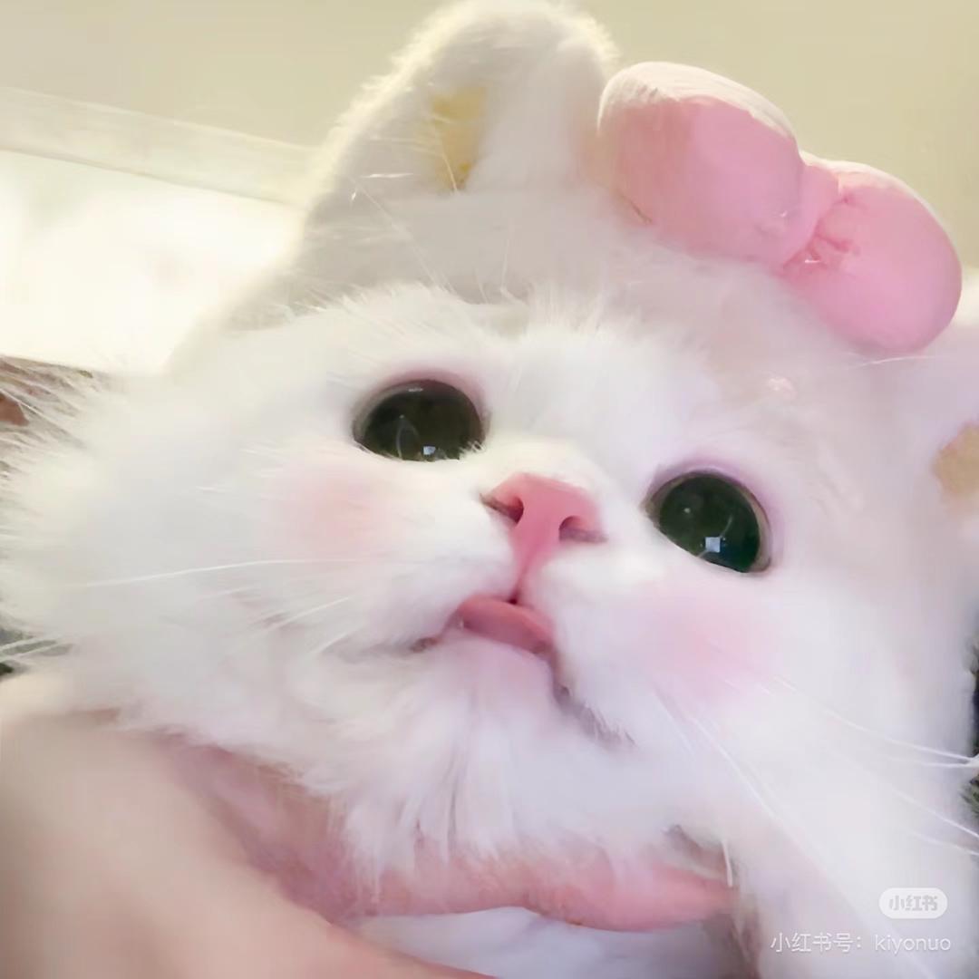 哈哈哈