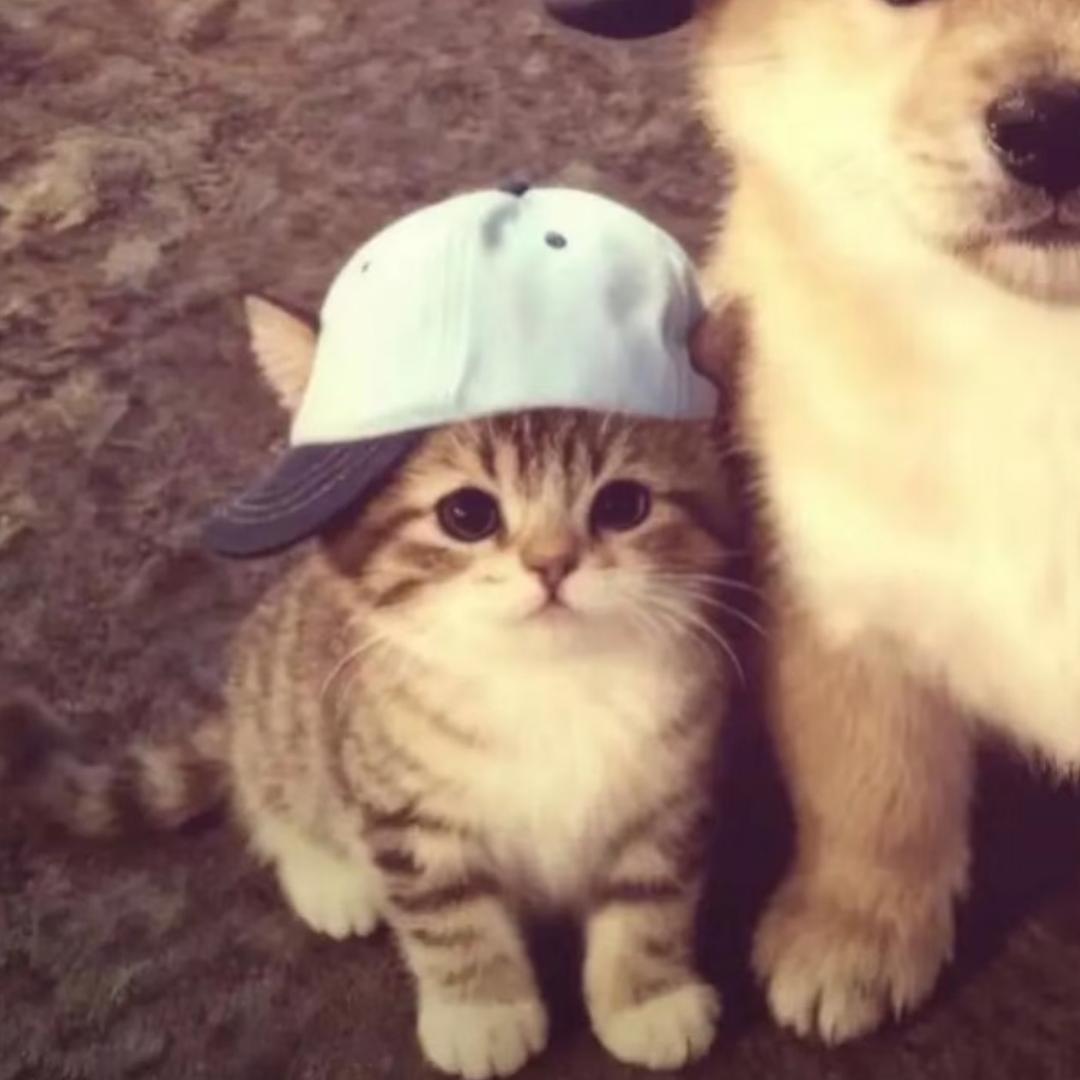 冬終浔（见过陶喆版