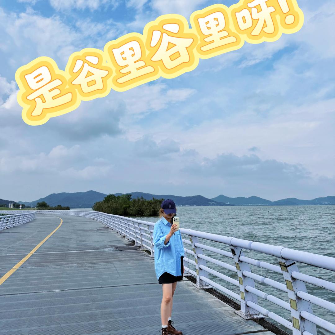 谷里谷里