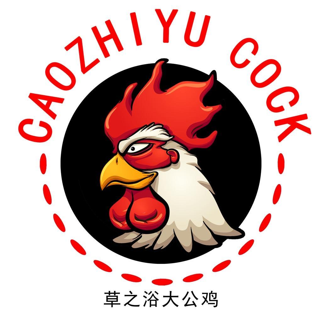 大公鸡洗护家清
