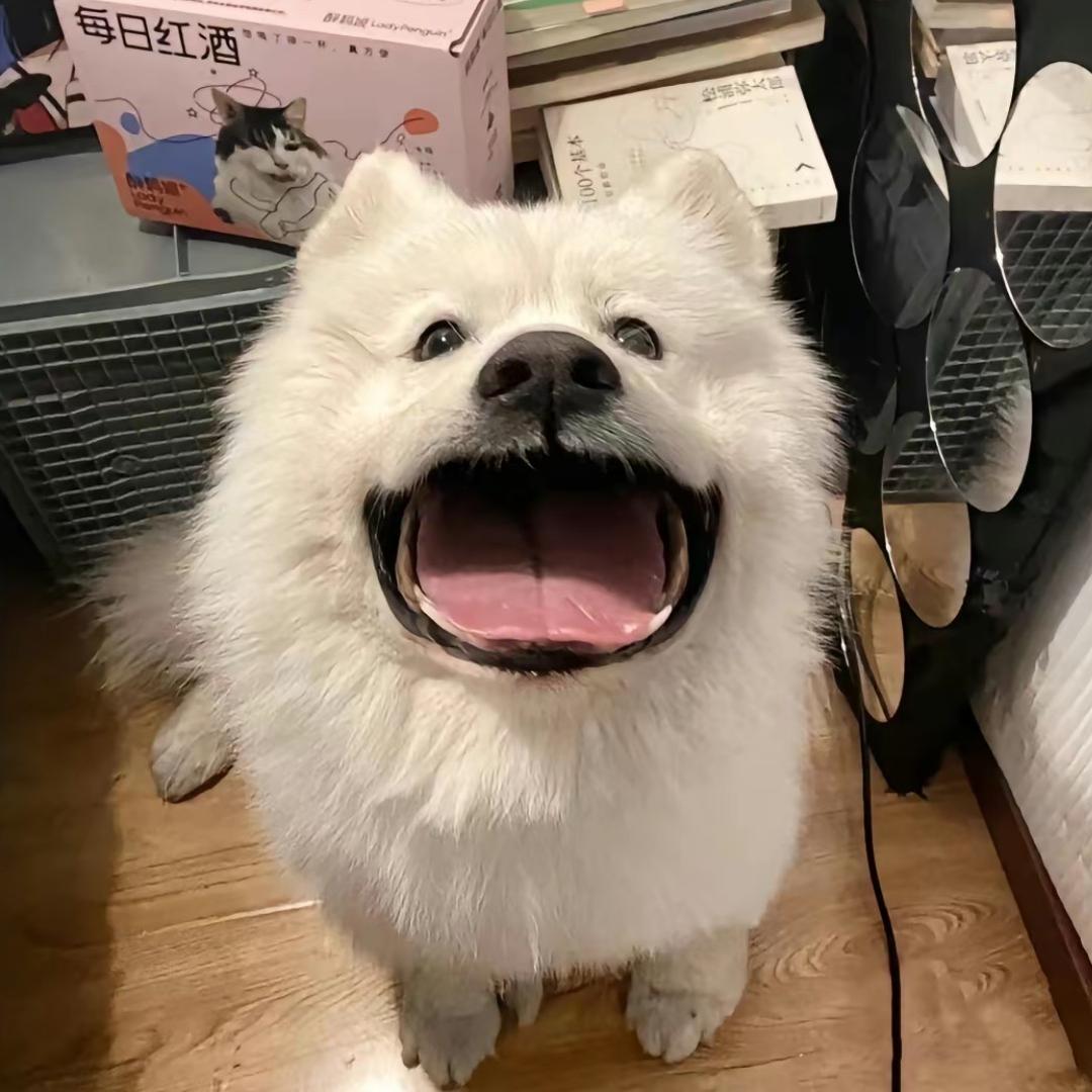 拾柒