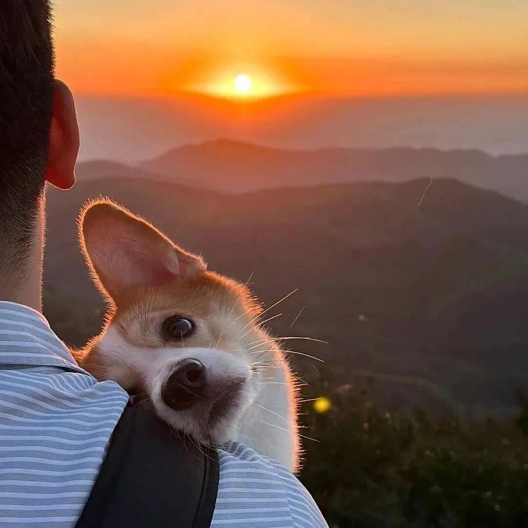 X-勤奋勤奋再勤奋