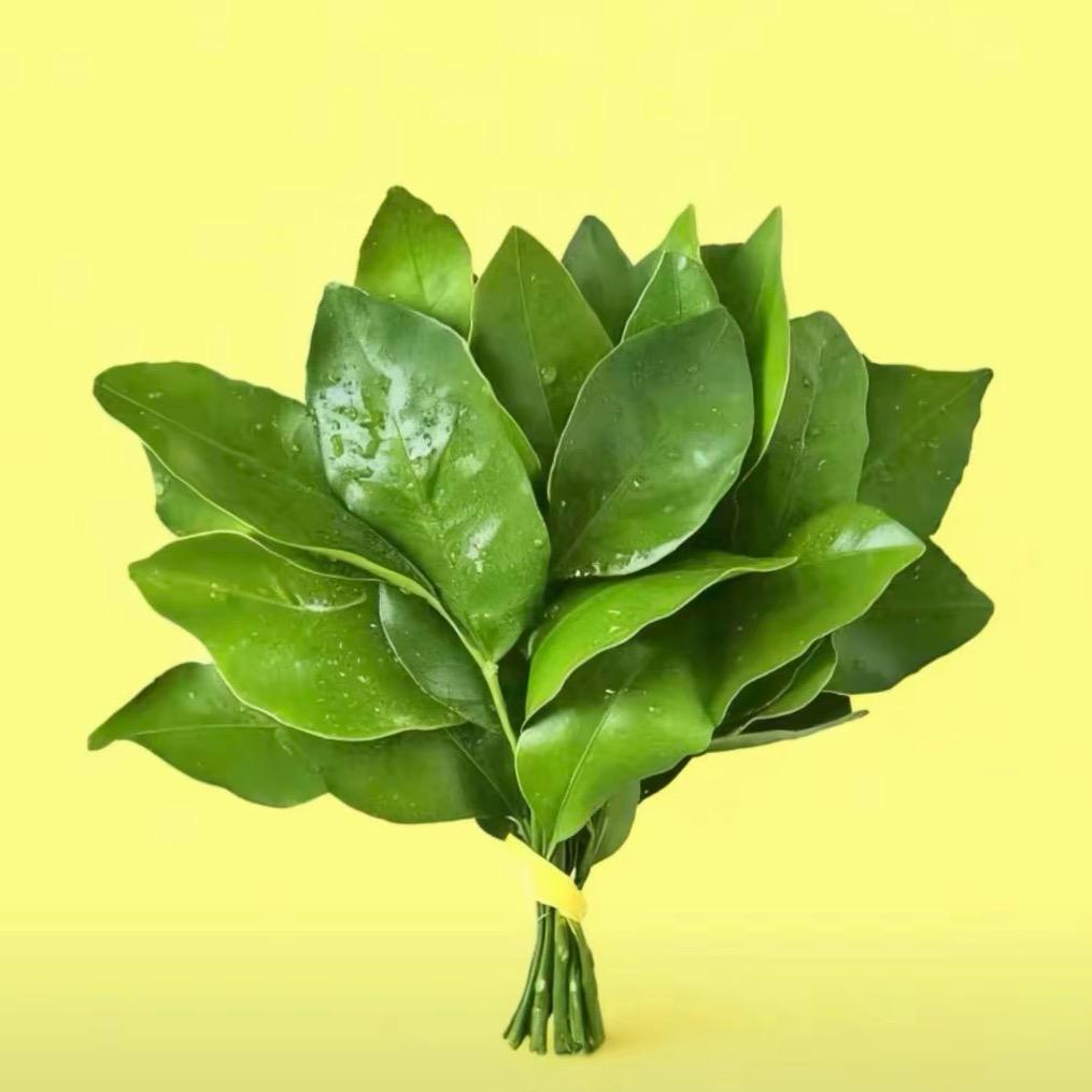 花爷~自律版（已减19斤）